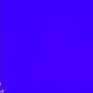 Meet your Posher, Sebastian